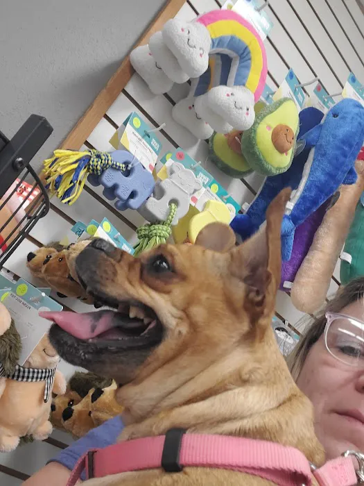 North Fayette Animal Clinic 12