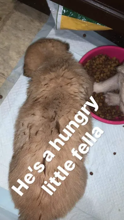 West Union Veterinary Clinic 1