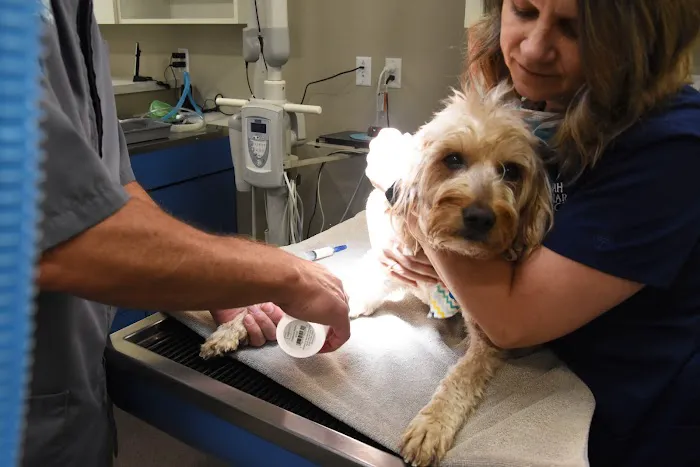 Decorah Veterinary Clinic 10