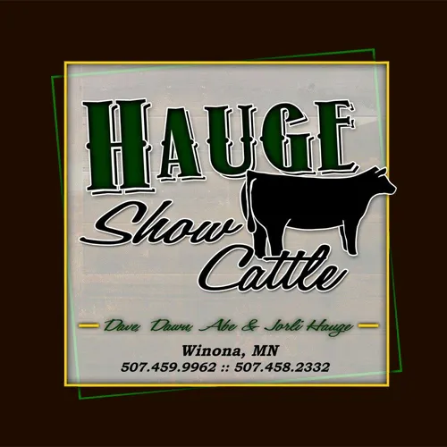 Hauge Show Cattle 12