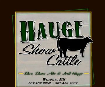 Hauge Show Cattle