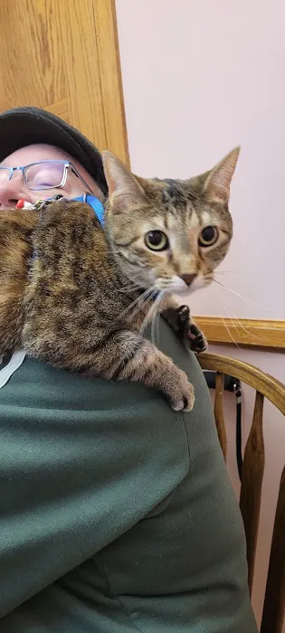 Pet Medical Center of Winona 8