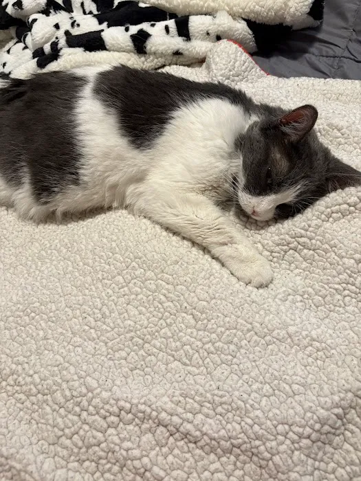 Pet Medical Center of Winona 5