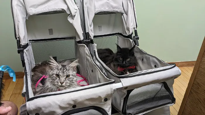 Pet Medical Center of Winona 4