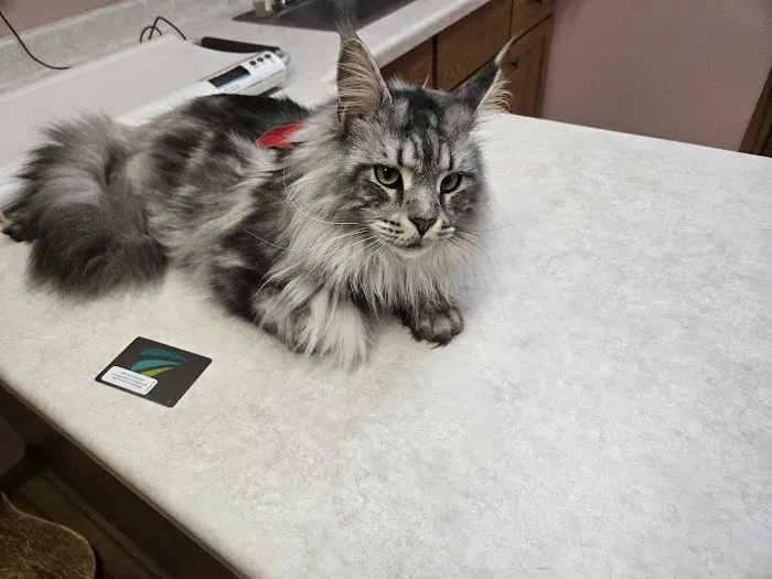 Pet Medical Center of Winona 7