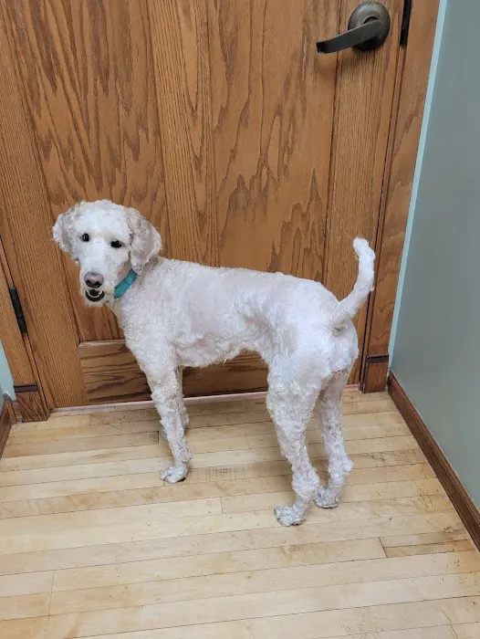Pet Medical Center of Winona 9