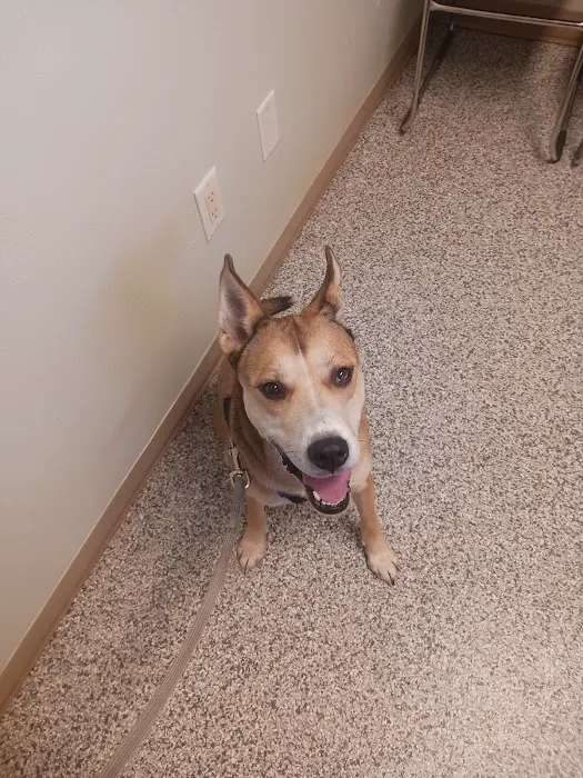 Hometown Veterinary Clinic 5