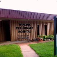 Winona Veterinary Hospital ico