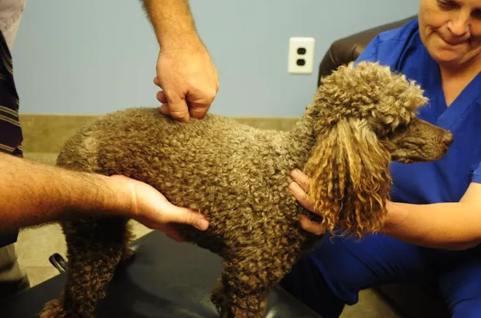 Winona Veterinary Hospital 8