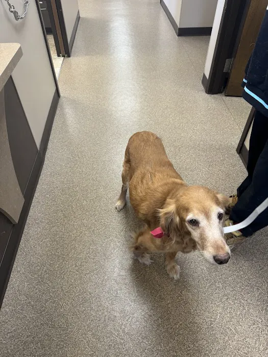 Pulaski Veterinary Clinic - Pulaski, Wisconsin 6