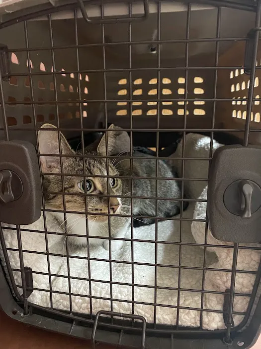 Hometown Veterinary Clinic 12