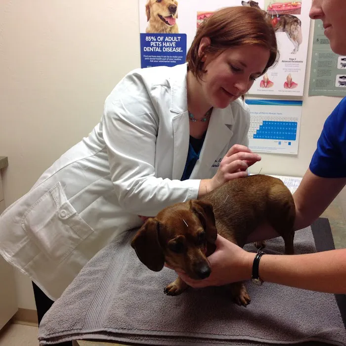 Hometown Veterinary Clinic 12