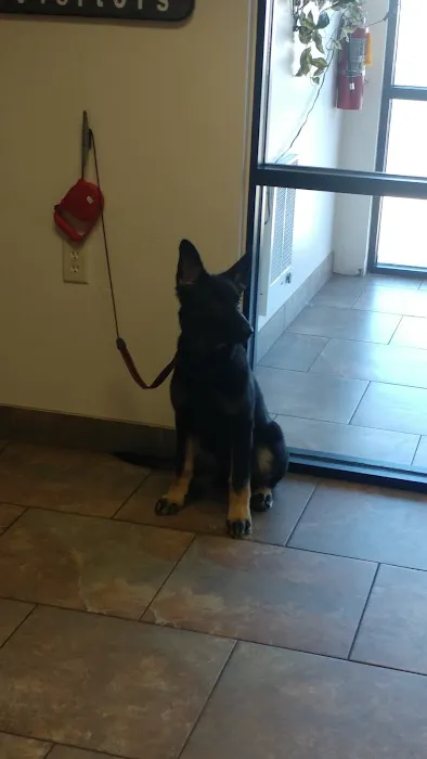Hometown Veterinary Clinic 12