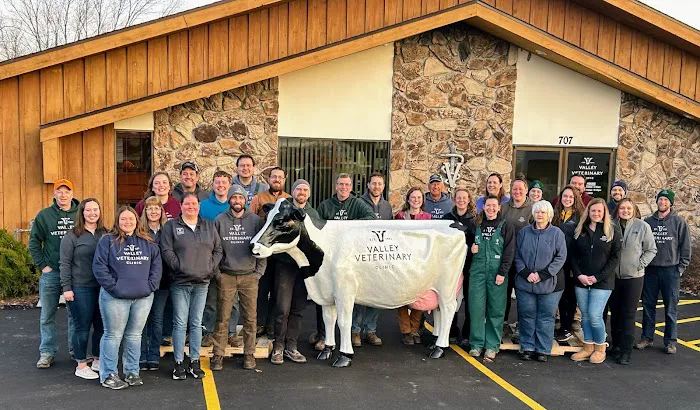 Valley Veterinary Clinic- Cattle 2