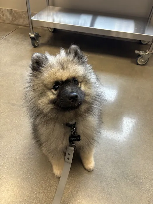 Trout Creek Veterinary Center, LLC. Dr. Tracy Kusik, DVM 12