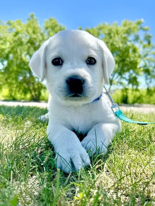 Trout Creek Veterinary Center, LLC. Dr. Tracy Kusik, DVM 12