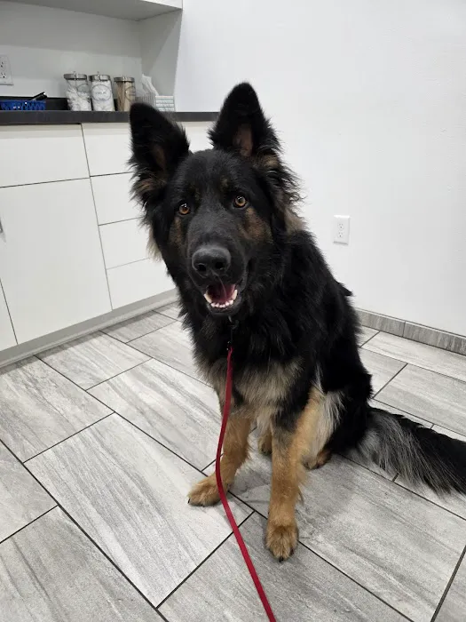 Weston Veterinary Hospital 12