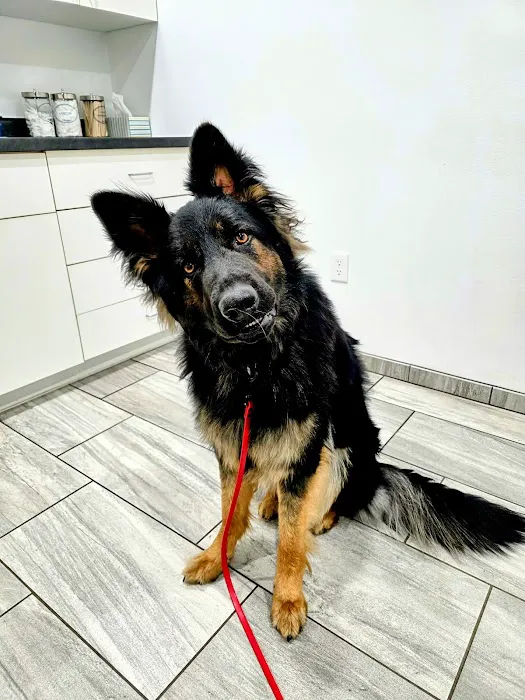 Weston Veterinary Hospital 12