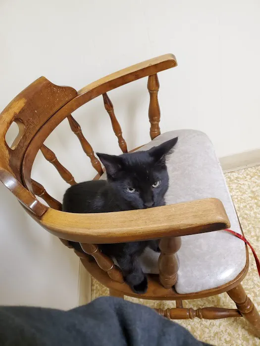 Weston Veterinary Hospital 12
