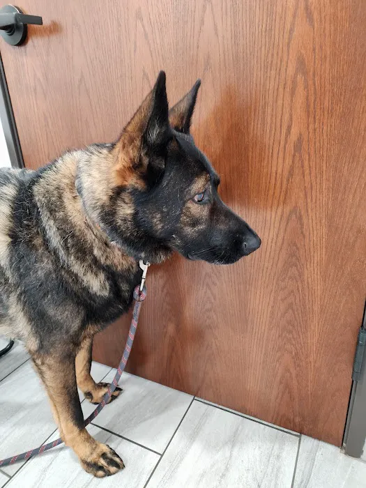 Weston Veterinary Hospital 12