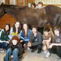 Hoof and Paw Veterinary Care LLC ico