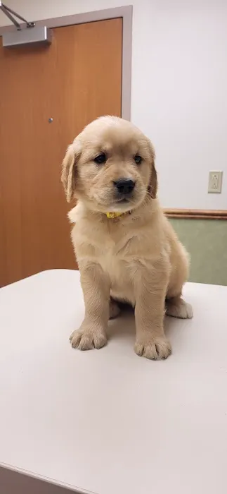 Medford Veterinary Clinic 1