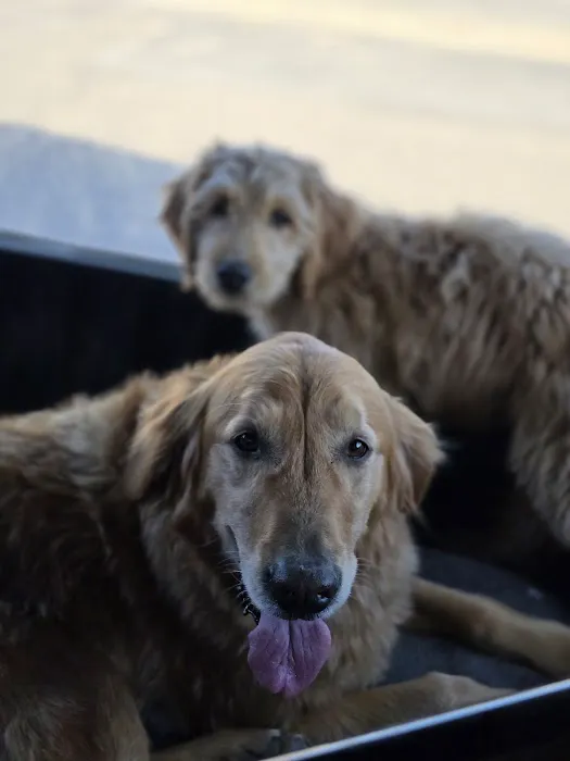 County Center Animal Hospital 5