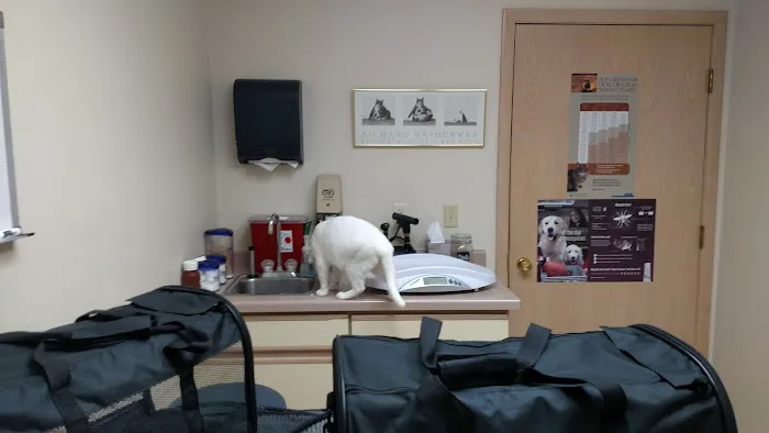 County Center Animal Hospital 9