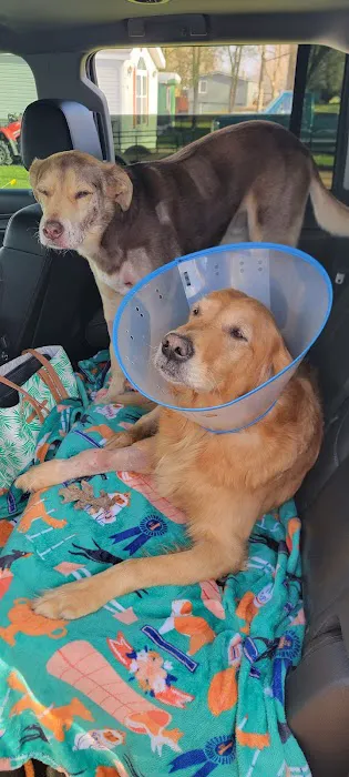 County Center Animal Hospital 6