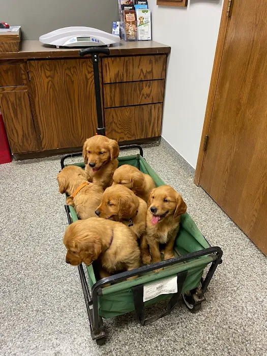 Athens Veterinary Service 3
