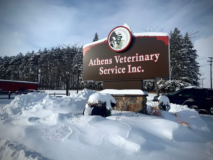 Athens Veterinary Service 5