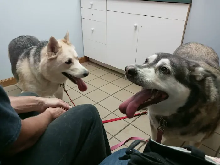 Mosinee Veterinary Clinic 12
