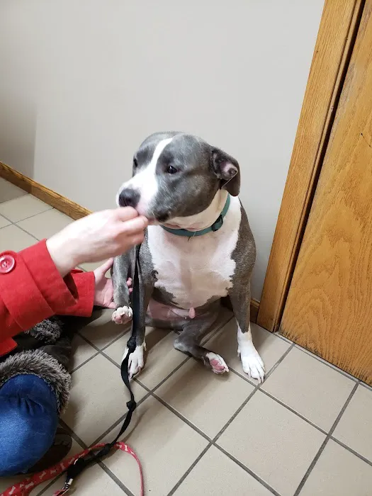 Mosinee Veterinary Clinic 12