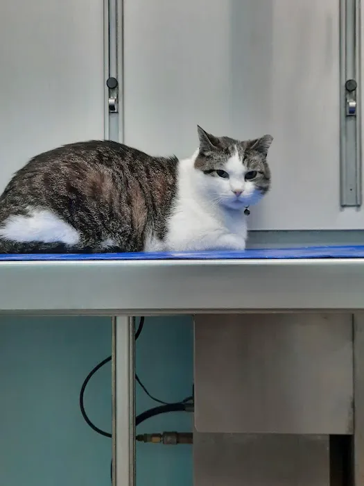 Mosinee Veterinary Clinic 12
