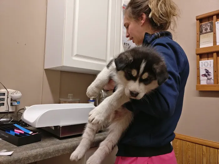 Mosinee Veterinary Clinic 12