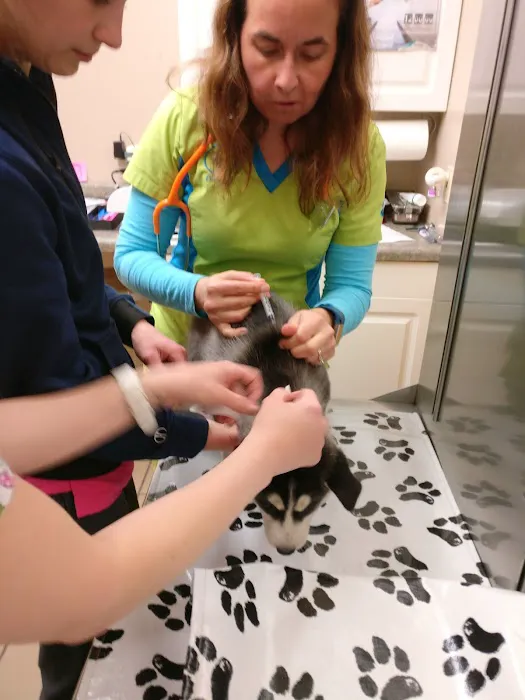 Mosinee Veterinary Clinic 12
