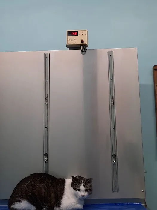 Mosinee Veterinary Clinic 12