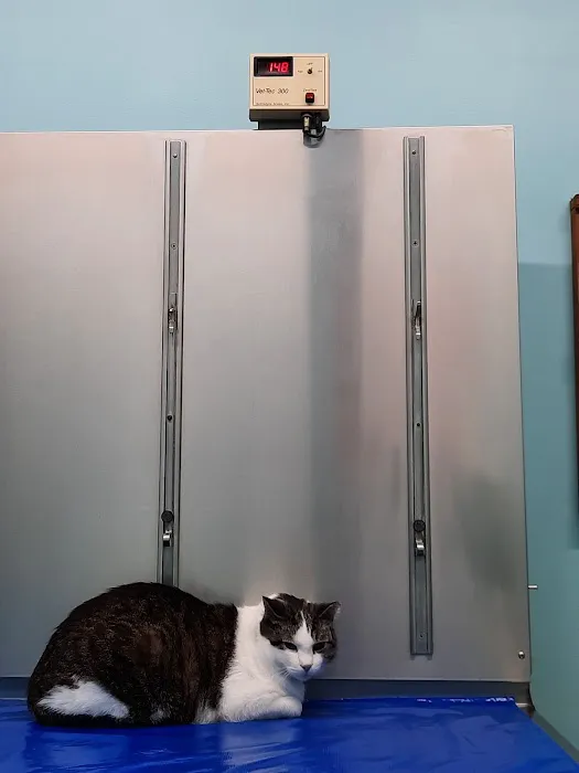Mosinee Veterinary Clinic 12