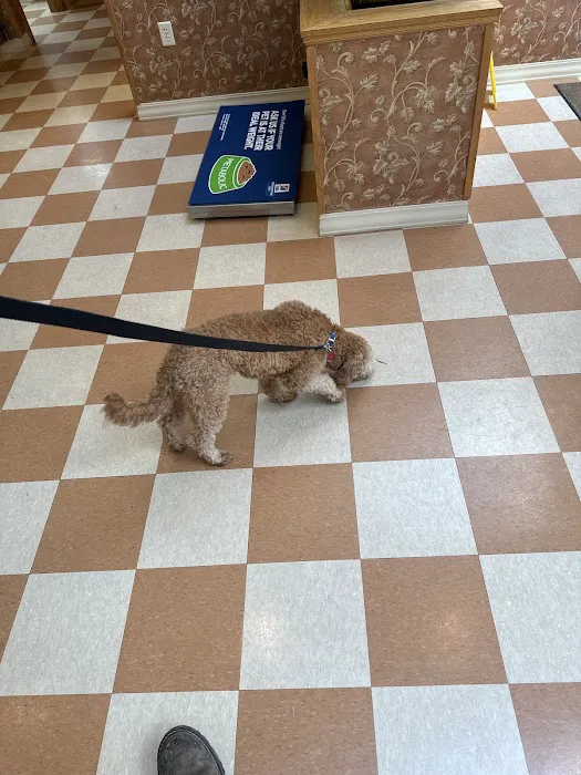 Mt. Zion Animal Clinic and Boarding 8