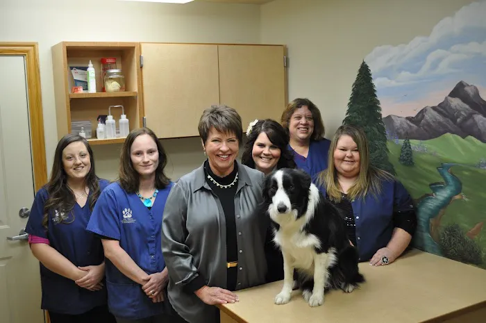 Mt. Zion Animal Clinic and Boarding 4