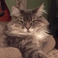 Ohio Valley Animal Clinic ico