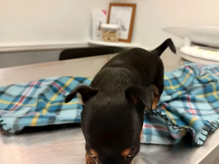 Ohio Valley Animal Clinic 12