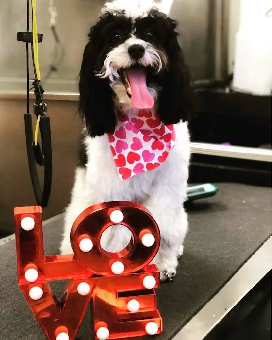 Ohio Valley Animal Clinic 12