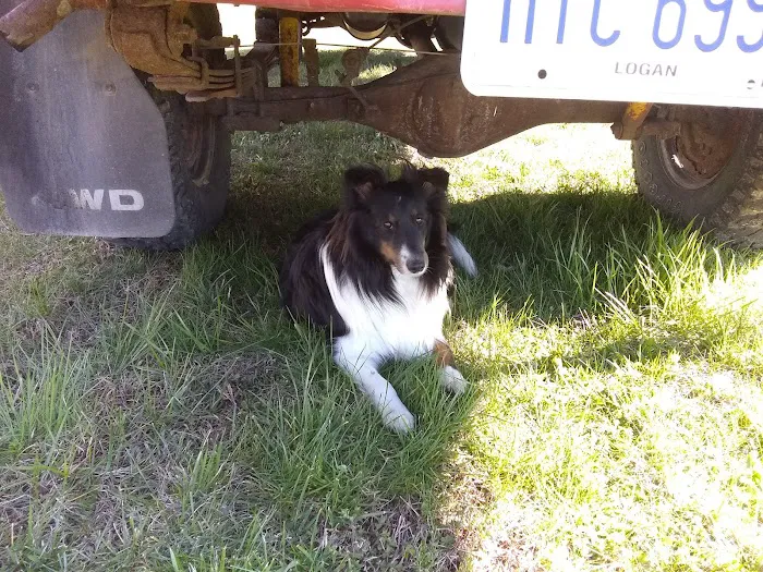 Meigs Veterinary Clinic 12