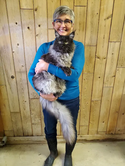 Windy Hill Pets, Kathy's Kattery 5