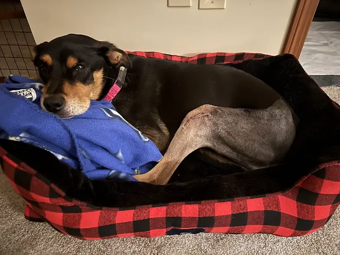 Wooster Animal Clinic 12