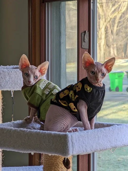 Wooster Animal Clinic 12