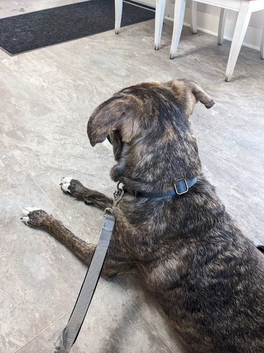 Country Road Veterinary Services 12