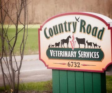 Country Road Veterinary Services