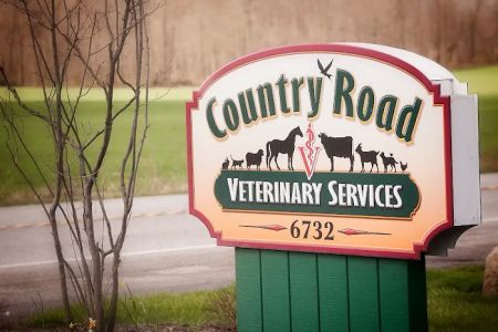 Country Road Veterinary Services